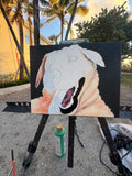 dog portrait
