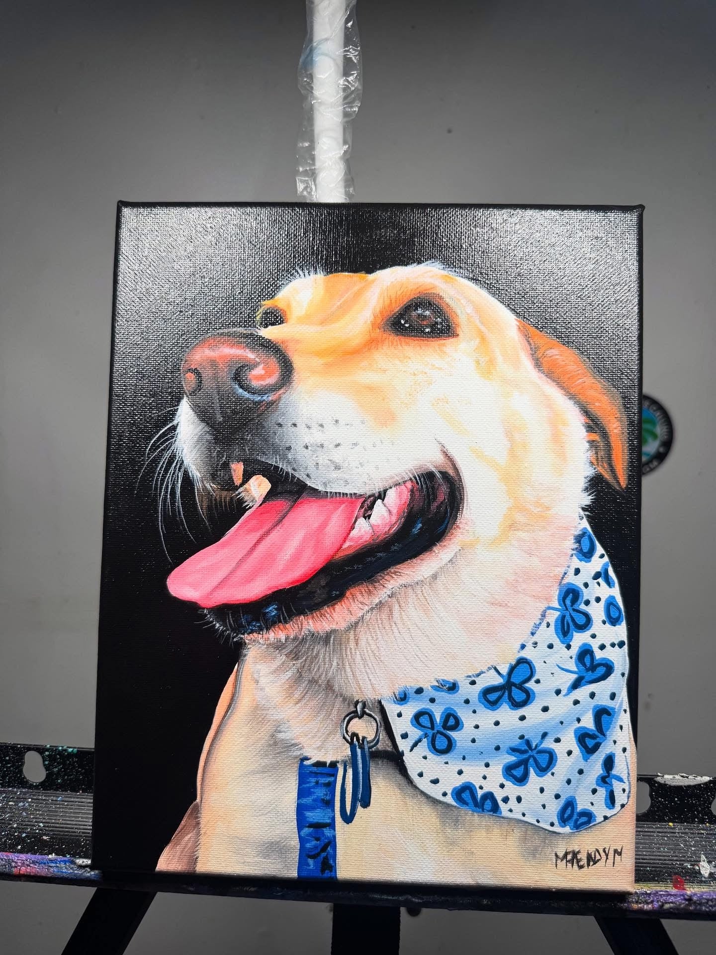 dog portrait